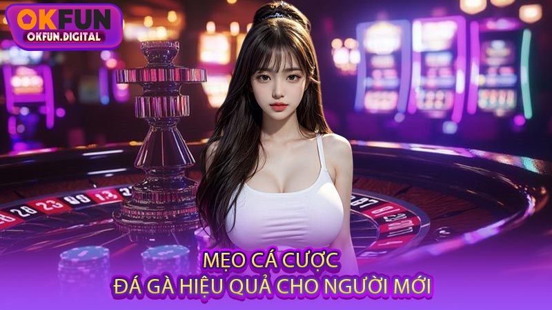 Mẹo Cá Cược Đá Gà Hiệu Quả Cho Người Mới